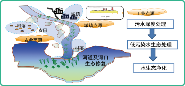 人工濕地，人工濕地建設