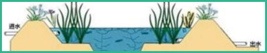 人工濕地，表面流人工濕地