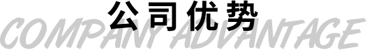 公司優勢