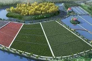 生態(tài)浮島-曝氣技術高效凈化水質