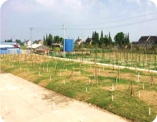 土壤修復與治理 土壤修復與治理