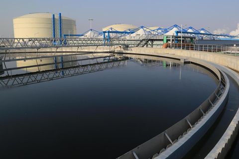 1631847180136896.png 圖片1_副本.png