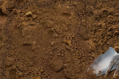 <a href=http://m.zhiquanclub.com/turangjiance.html>土壤檢測</a> 土壤檢測